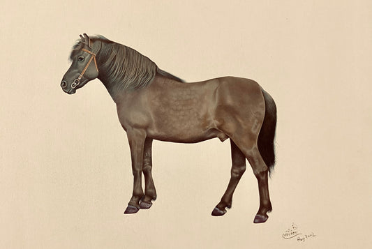 The Majestic Stallion – Original Fine Art Painting